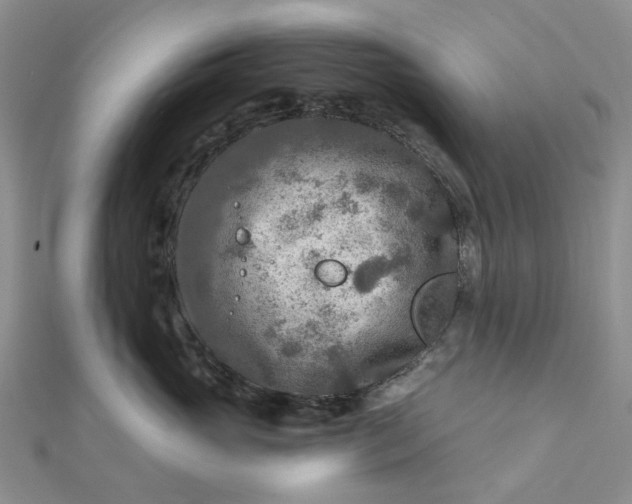 X0000111790765200908061136