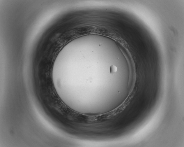 X0000111790766200908061136