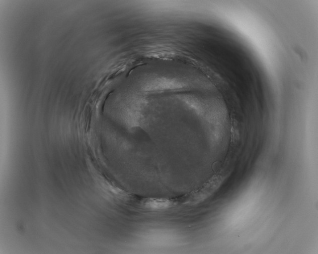 X0000111790767200908061136