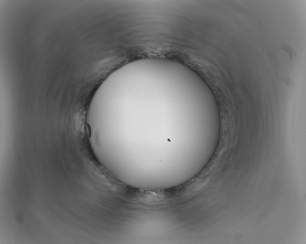 X0000111790768200908061136