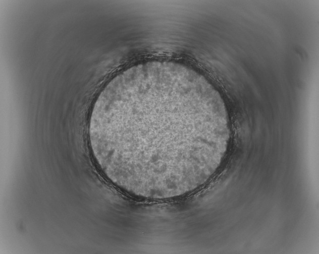 X0000111790769200908061136