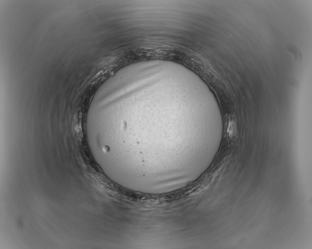 X0000111790771200908061136