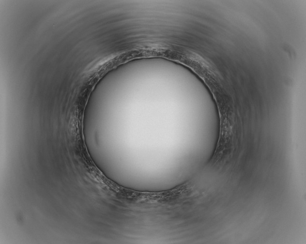 X0000111790773200908061136