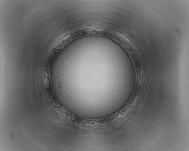 X0000111790774200908061136