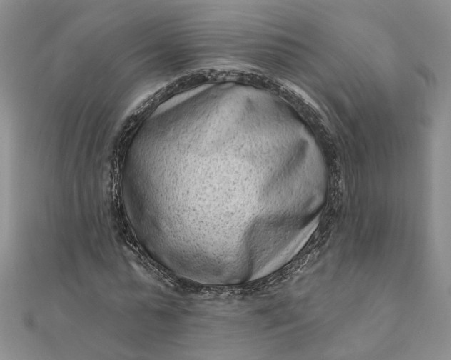 X0000111790775200908061136