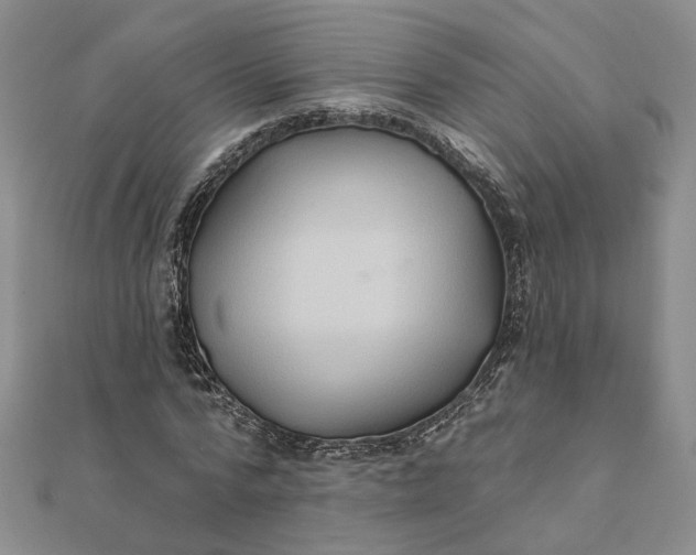 X0000111790776200908061136