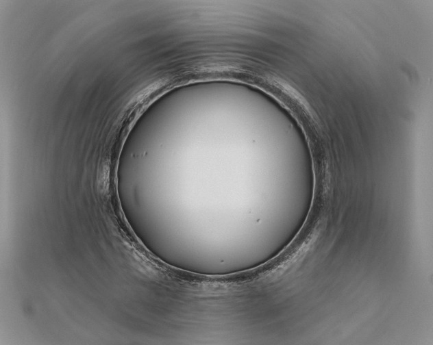 X0000111790777200908061136