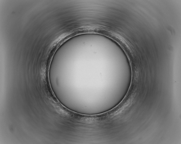 X0000111790778200908061136