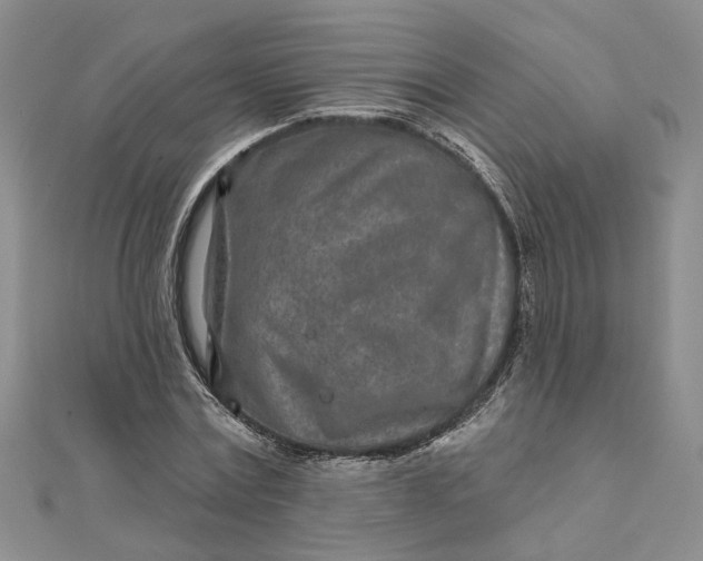 X0000111790779200908061135