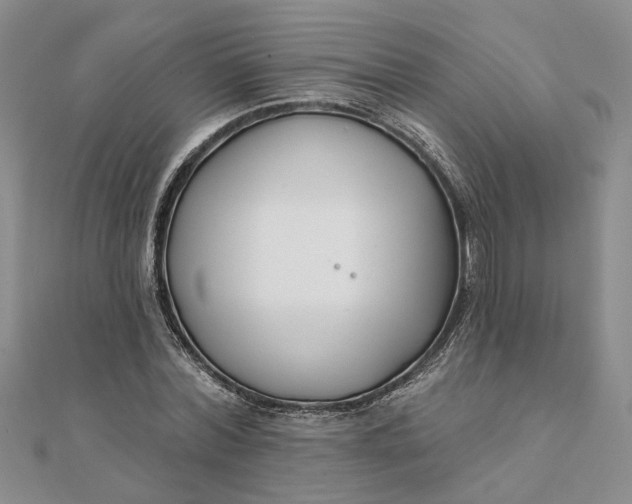 X0000111790780200908061135