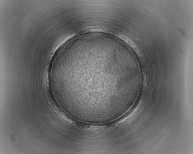 X0000111790782200908061135