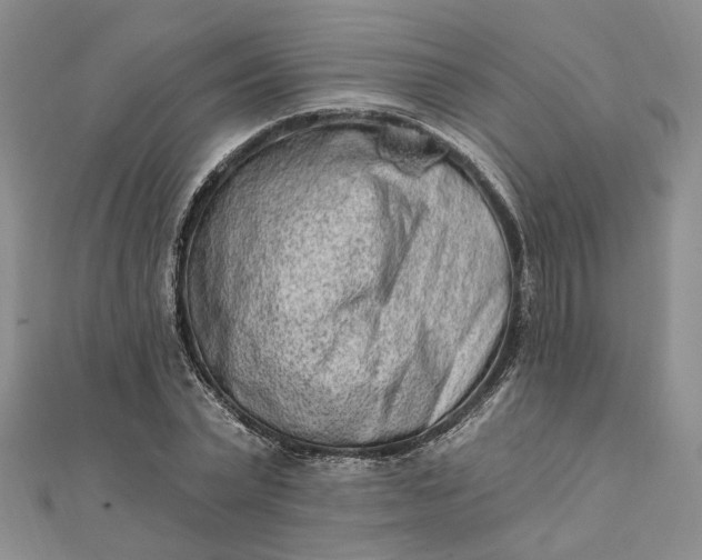 X0000111790783200908061135