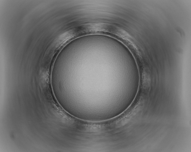 X0000111790785200908061135