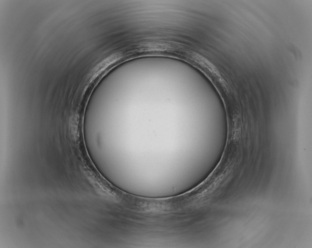 X0000111790786200908061135