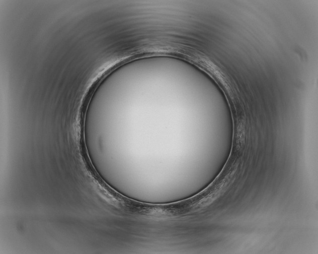 X0000111790787200908061135