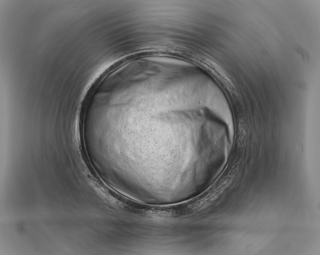 X0000111790788200908061135