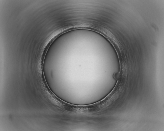 X0000111790789200908061135