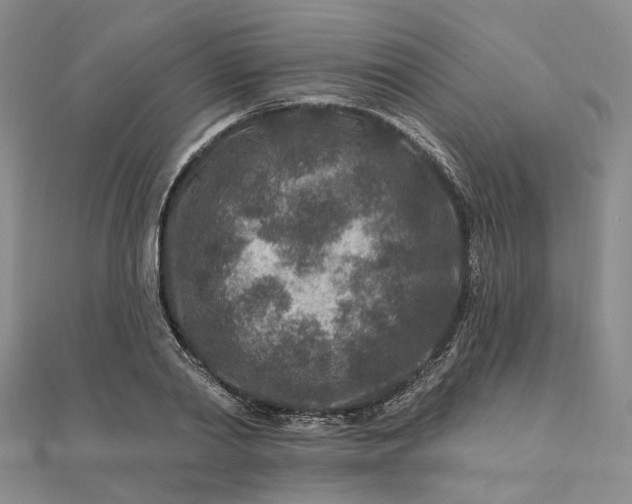 X0000111790790200908061135