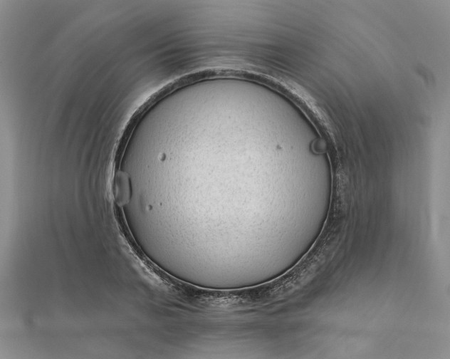 X0000111790791200908061135