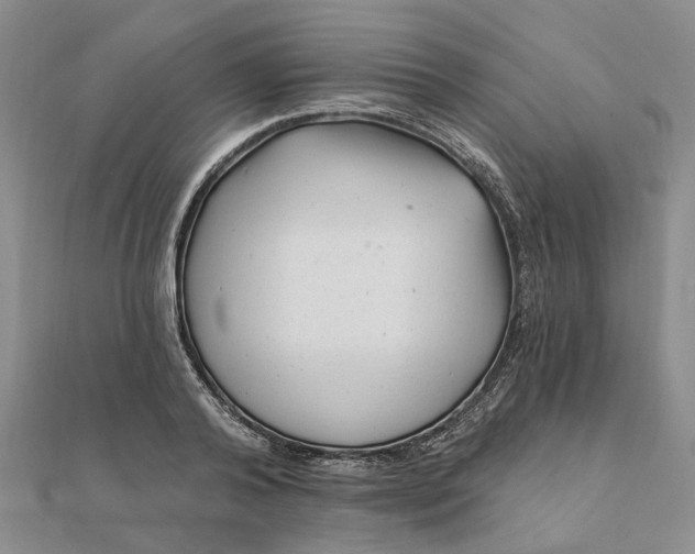 X0000111790792200908061135