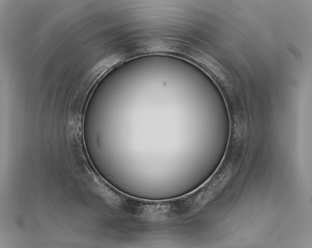 X0000111790793200908061135