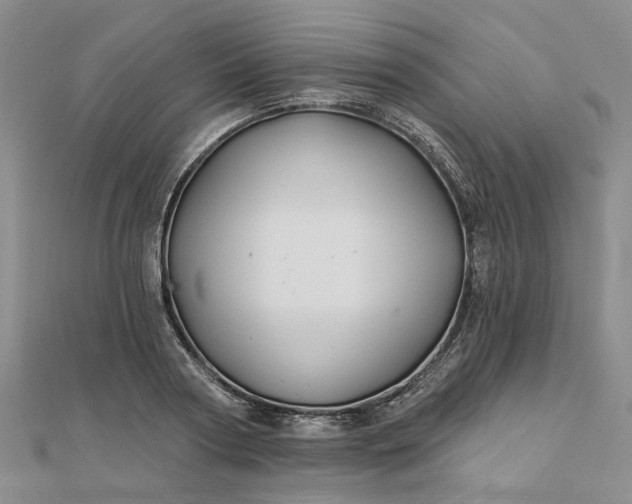 X0000111790794200908061135