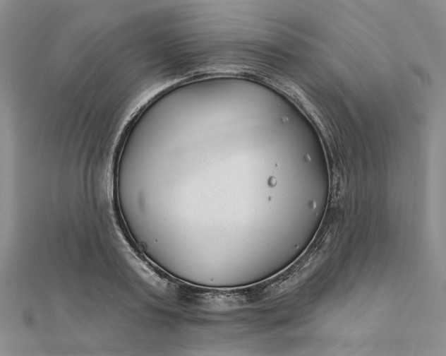 X0000111790795200908061135