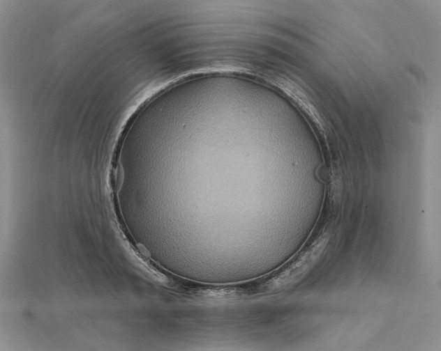 X0000111790797200908061135