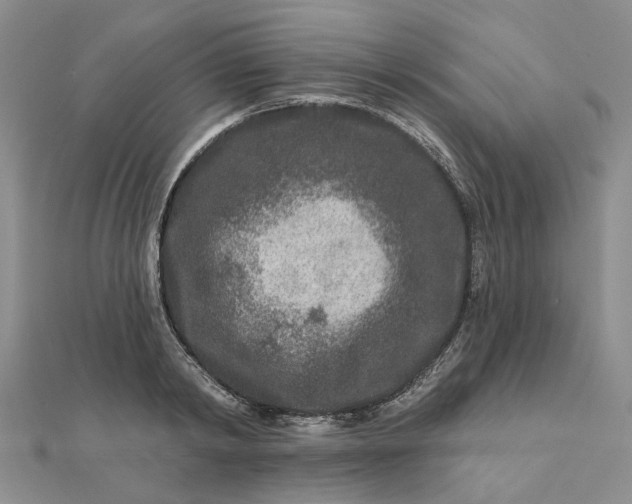 X0000111790798200908061135