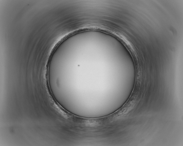 X0000111790799200908061135