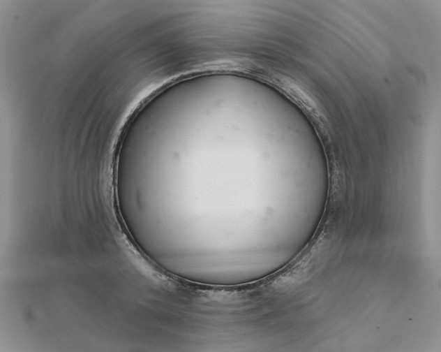 X0000111790800200908061135