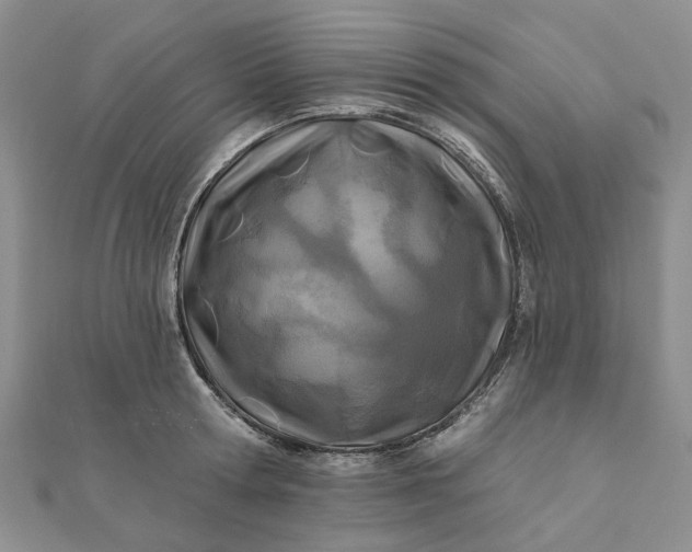 X0000111790802200908061135