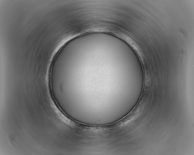 X0000111790803200908061135