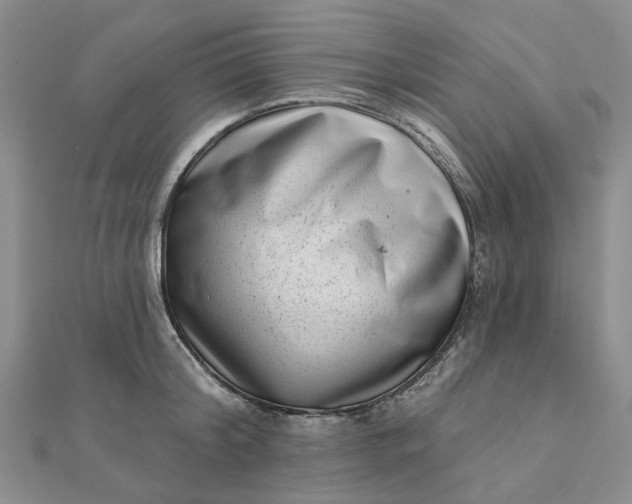 X0000111790804200908061135