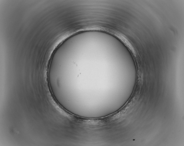 X0000111790805200908061135