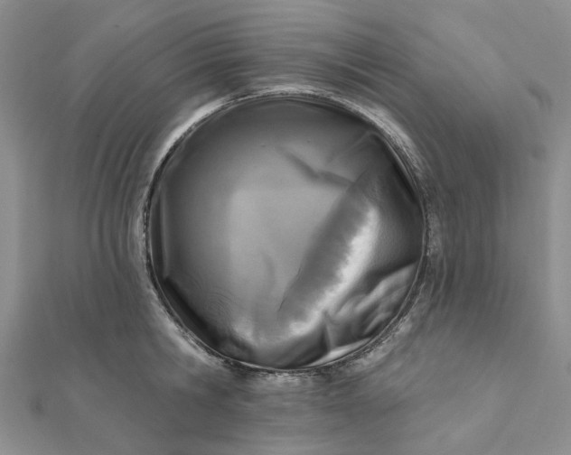 X0000111790806200908061135