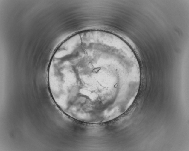 X0000111790807200908061135