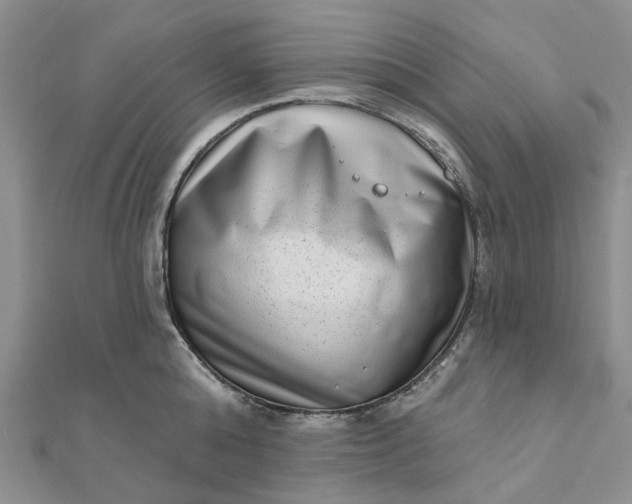 X0000111790808200908061135