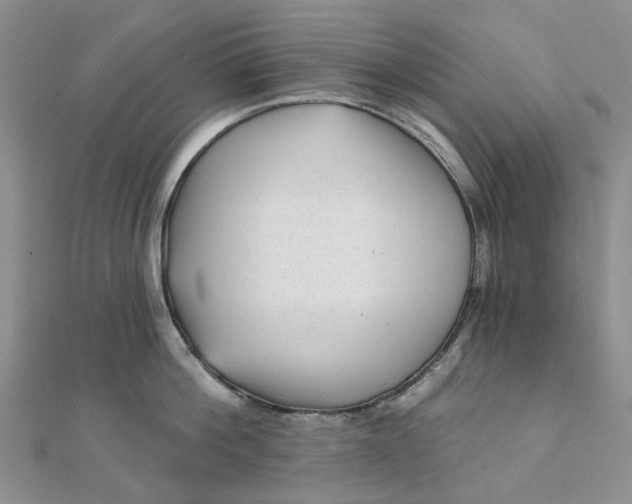 X0000111790812200908061135