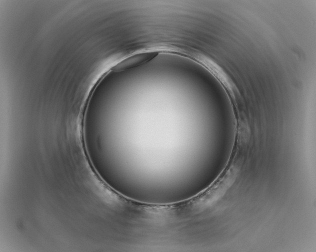 X0000111790813200908061135