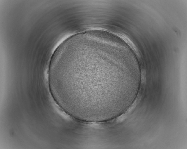 X0000111790814200908061135