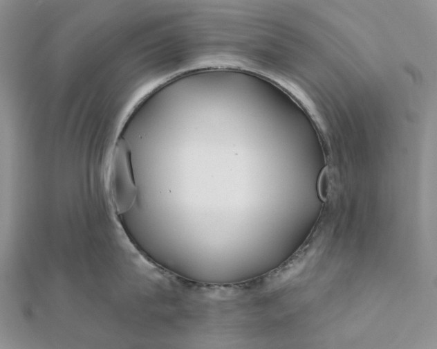 X0000111790815200908061135