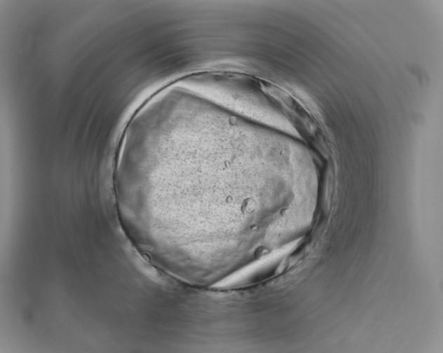 X0000111790816200908061135