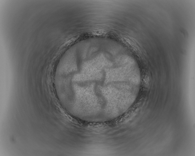 X0000111790817200908061134