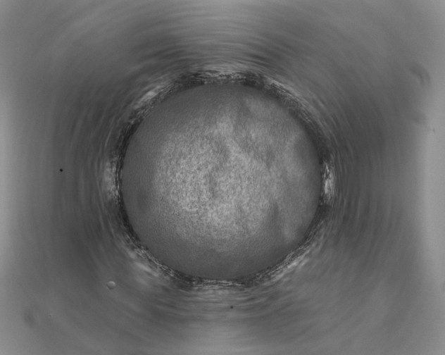 X0000111790819200908061134