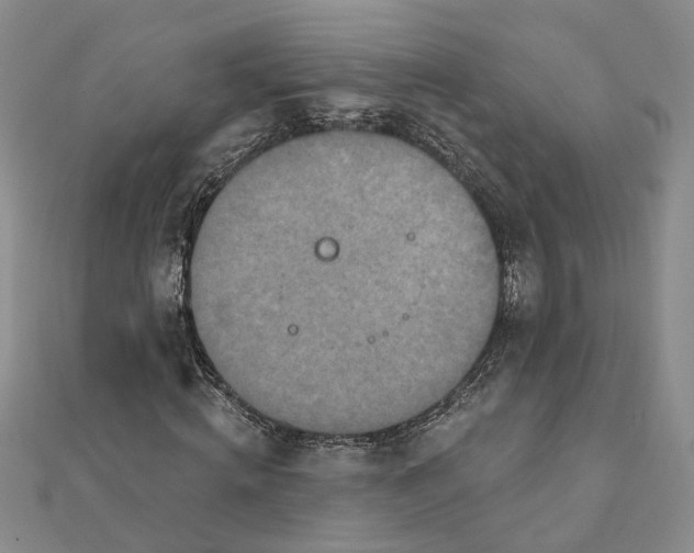 X0000111790820200908061134