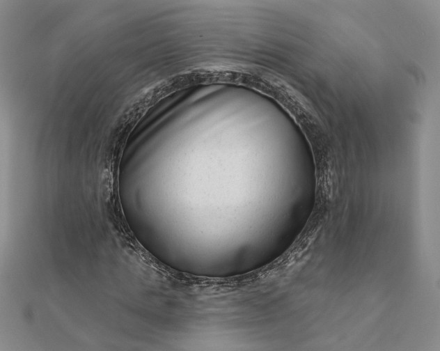 X0000111790821200908061134