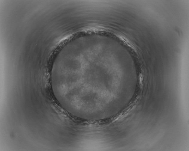 X0000111790822200908061134