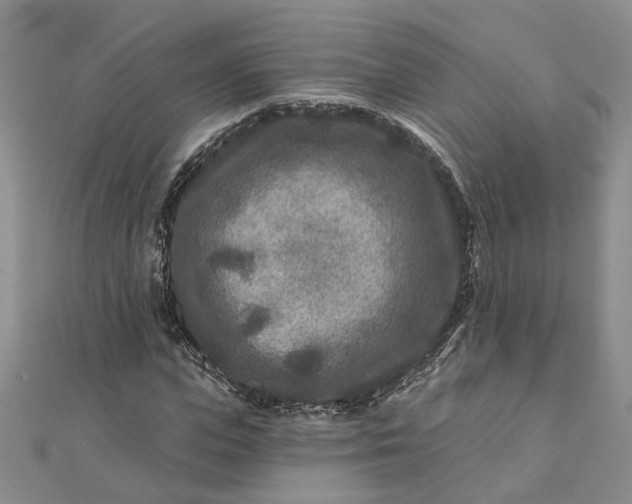 X0000111790823200908061134