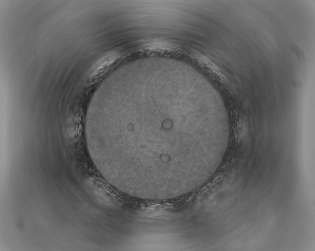 X0000111790824200908061134